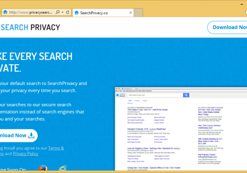 Remove Privacysearch.link