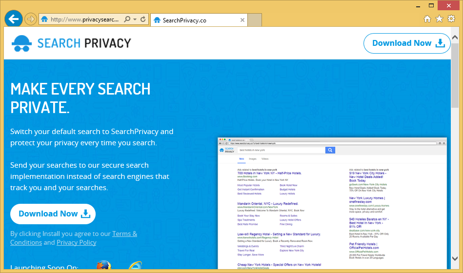 Privacysearch