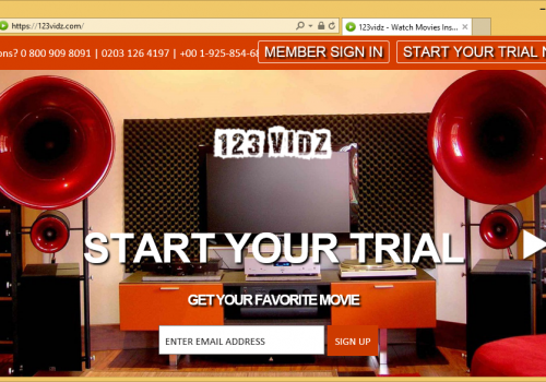 Come rimuovere 123vidz