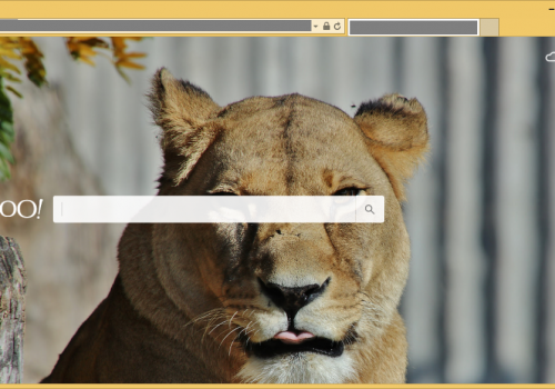 Come rimuovere Feed.shopping-day.com