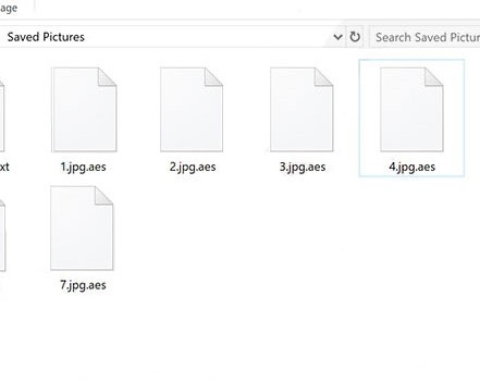 RSA2048Pro Ransomware retiro
