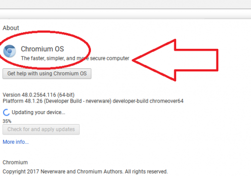 Remove Rogue Chromium Browsers