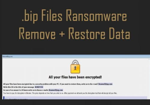 Eliminar .bip File Virus