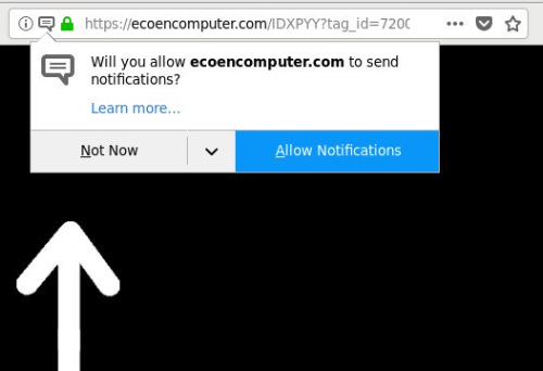 Rimuovere Ecoencomputer.com
