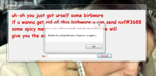 Birbware Ransomware