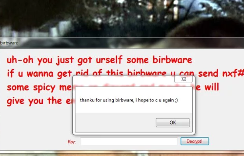 Eliminar Birbware Ransomware