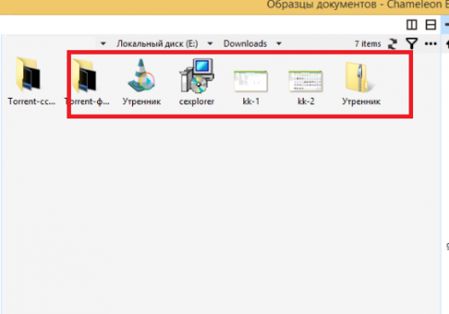 Remove Chameleon Explorer Pro
