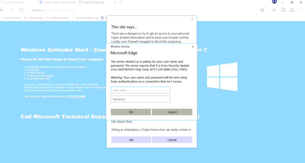 Microsoft Edge Update Virus