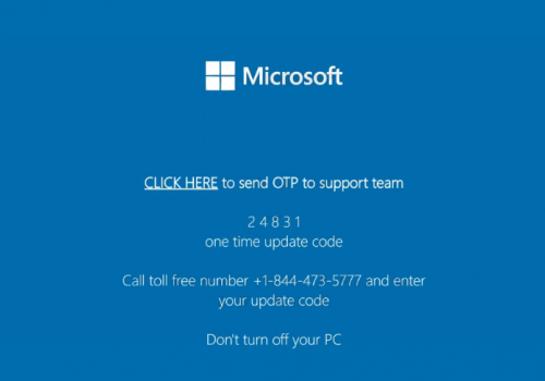 Remove Send OTP to support team