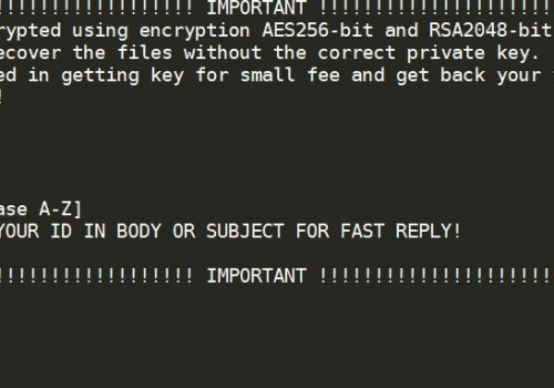 EliminarGotcha Ransomware