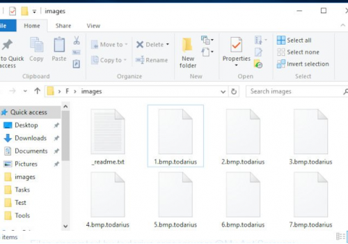 Eliminar.Todarius File Virus