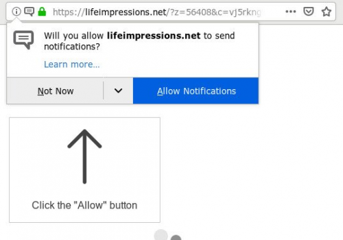 เอา Lifeimpressions.net