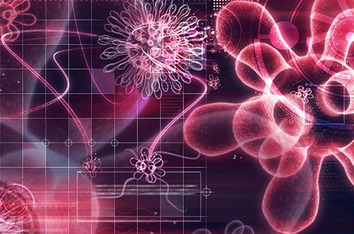 Remove TechNetSearch