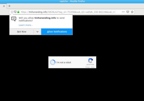 How to remove Tinhoranding.info