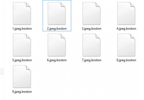 Boston Ransomware Retiro