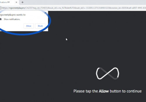 Remove Ngscreetpla.pro Redirects