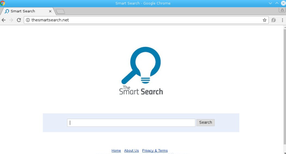 Smart Search Hijacker