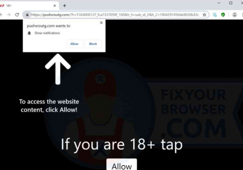 Remove Pushsroutg.com Pop-ups