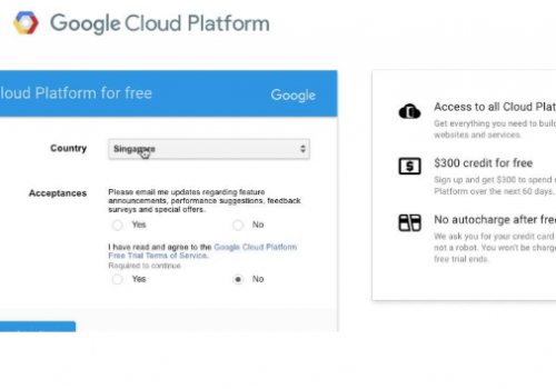 Remove Get Free Translations
