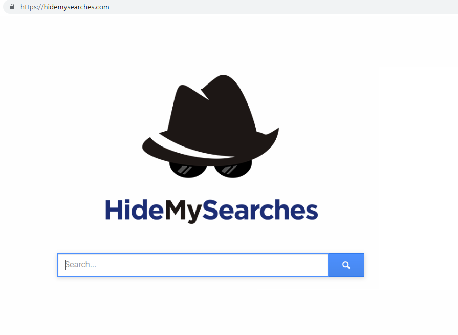 Hidemysearches