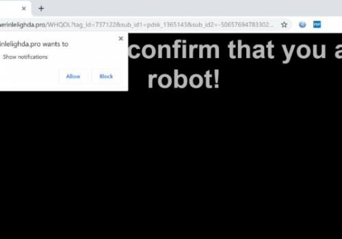 Nerinlelighda.pro Removal Guide