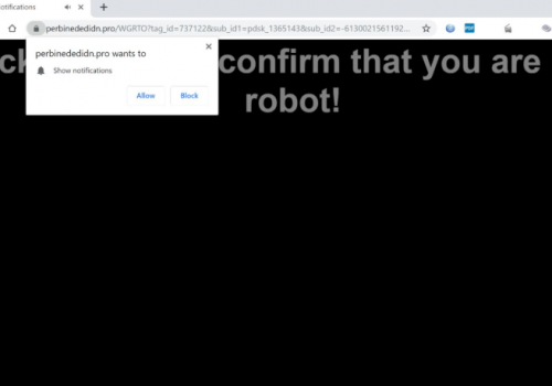 How to remove Perbinededidn.pro