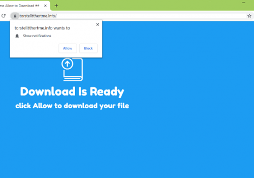 Remove Torstelitthertme.info