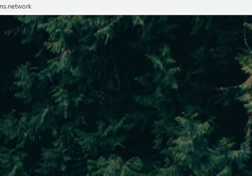 How to get rid of free-coupons.network