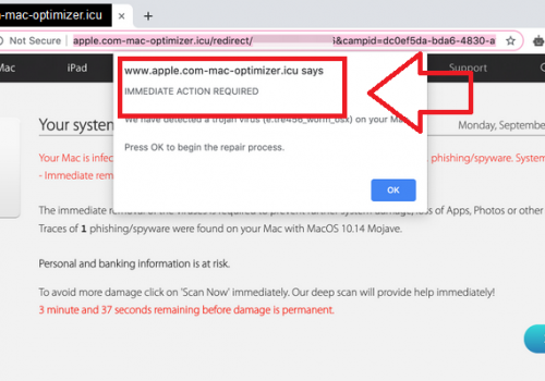Remove Apple.com-mac-optimizer.icu