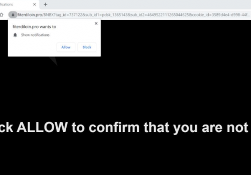How to remove Fiterdiloin.pro