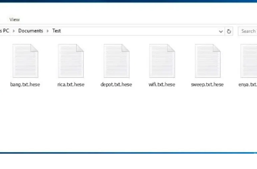 Cómo eliminar Hese ransomware