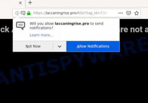 How to remove Laccaningrise.pro