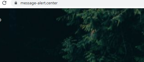 Remove Message-alert.center Ads