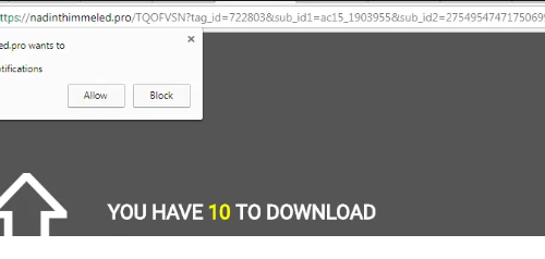 How to remove Nadinthimmeled.pro