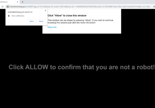 Remove Ronmeketnerep.pro