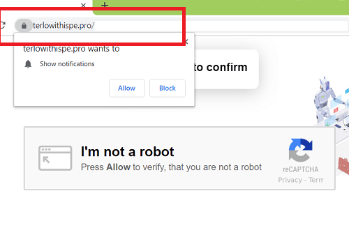 Remove Terlowithispe.pro