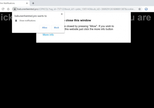 Remove babunenhemted.pro