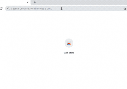 Remove ConvertMyVid Search redirect