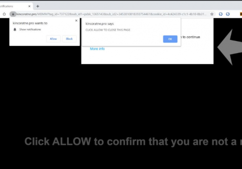 How to remove Kincoratne.pro