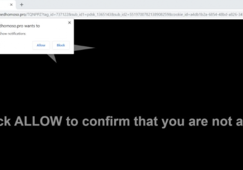 Remove Schedhomoso.pro