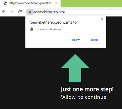 ronmeketnerep.pro Removal