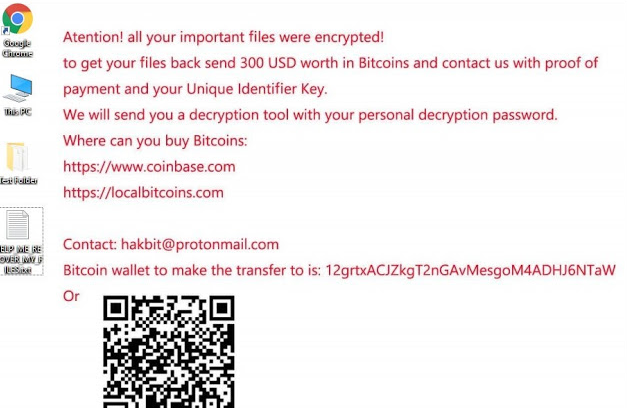 Hakbit ransomware