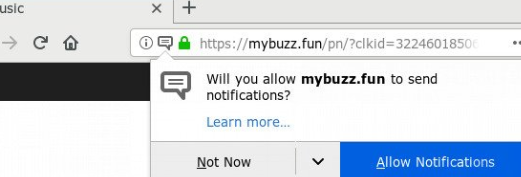 Mybuzz