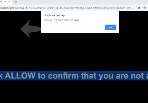 How to remove Nkyphone.pro