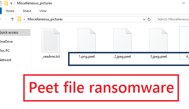 Peet file ransomware