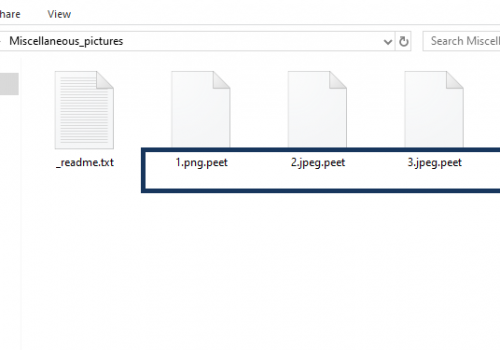 Eliminar Peet ransomware