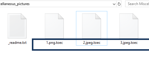 Eliminar .Toec file ransomware