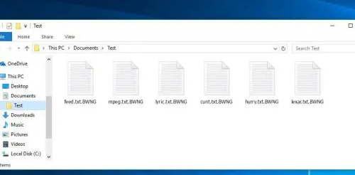 Cómo quitar BWNG Virus