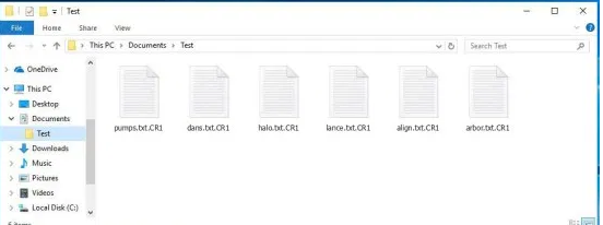 CR1 files ransomware
