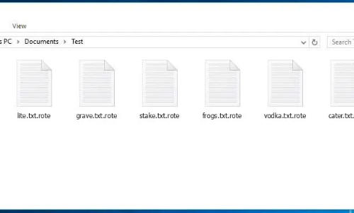 MZRevenge ransomware Retiro